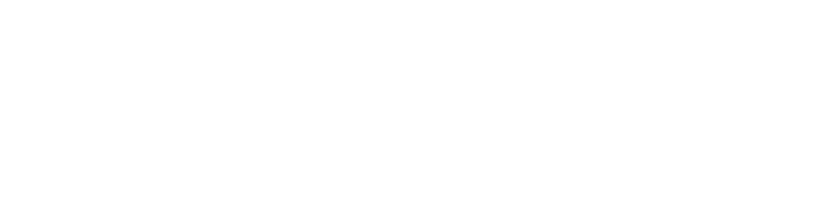 FortCyber